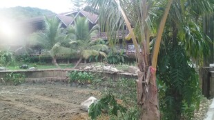 三亚乡村田园风光景象