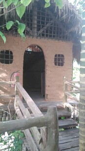 三亚古朴木屋立于林间小道