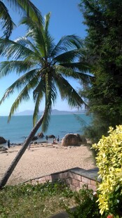 三亚热带海滩风光 椰树与海景