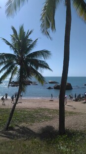 三亚美丽海滩与椰树风景