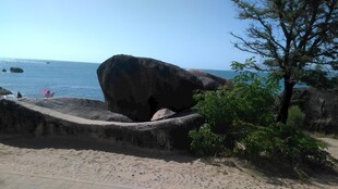 三亚海边巨石旁的绿植景观