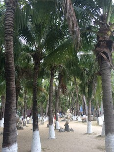 三亚椰林沙滩美景