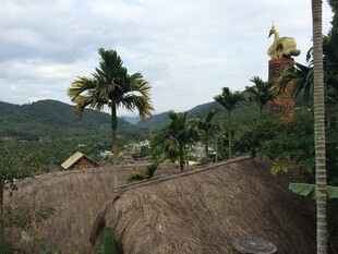 三亚热带山地风光与植被景观
