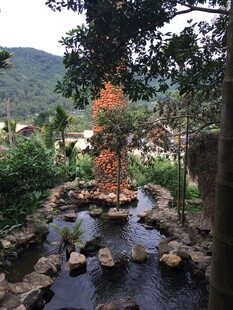 三亚日式庭院中的潺潺溪流