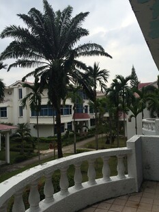 三亚阳台外的棕榈树与建筑景观