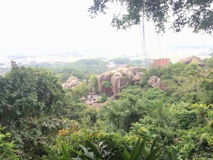 三亚山林间繁茂植被与岩石景观