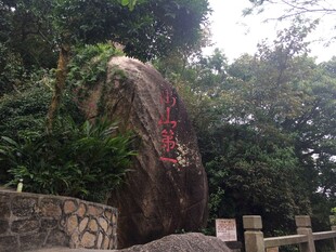 三亚刻字巨石旁的葱郁景致