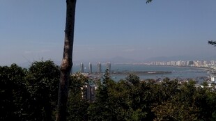 三亚俯瞰城市与绿树景观