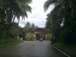 三亚热带林荫下的静谧道路