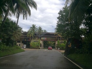 三亚热带庭院景观