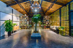 三亚现代工业风室内绿植空间