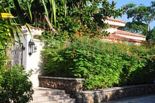 三亚庭院绿植环绕的闲适景致