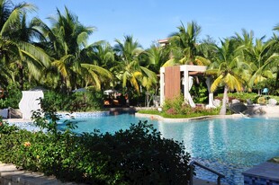 三亚热带风情泳池景观