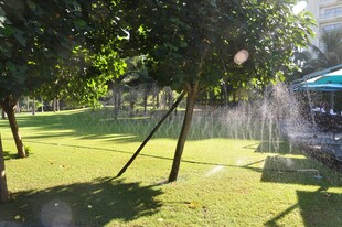 三亚草坪上的自动喷水装置