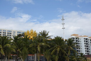 三亚海滨椰树旁的现代建筑群