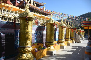 三亚藏式建筑前的精美金色立柱