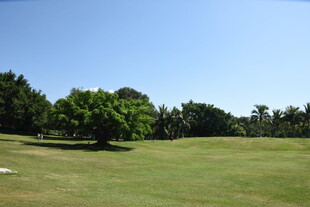 三亚绿意盎然的高尔夫球场