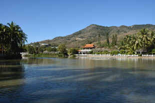 三亚湖畔椰林环绕的美丽景致