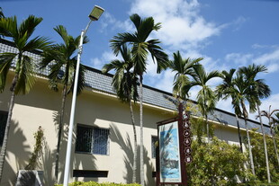 三亚热带风情建筑旁的棕榈树