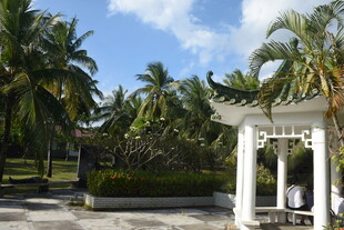 三亚热带园林中的中式凉亭