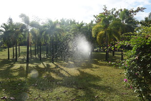 三亚园林自动喷水灌溉场景