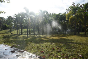 三亚阳光洒下的林间喷水景观