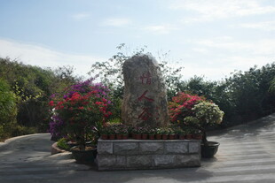 三亚户外花坛景观 繁花簇拥