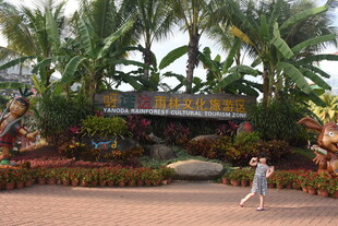 三亚热带风情景区入口景观
