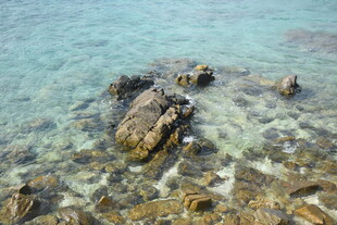 三亚清澈海水中的礁石景观