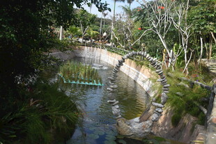 三亚林间清幽小河景观