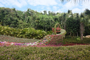 三亚梦幻花卉雕塑景观