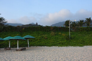 三亚海滩遮阳伞与绿植美景