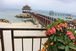 三亚海滨栈桥美景伴娇艳花卉