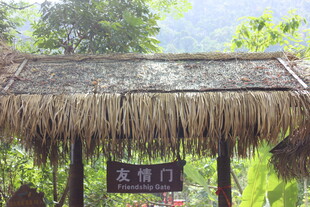 三亚乡村茅草屋 自然田园风