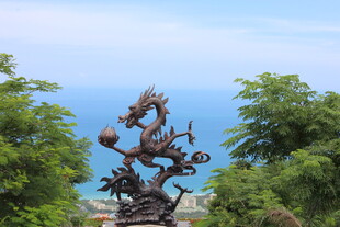 三亚山林间的精美龙形雕塑
