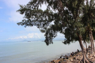 三亚海边绿树成荫的美丽景致