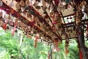 三亚祈福牌挂满木架的美好景象