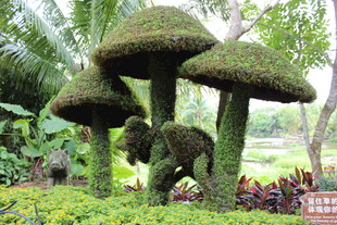 三亚蘑菇造型绿植景观