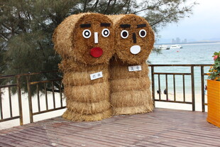 三亚海边可爱稻草雕塑