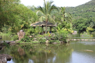 三亚湖畔凉亭 绿意盎然的景致