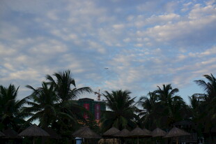 三亚椰林之上的梦幻天空