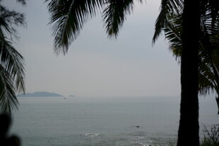三亚海边椰树映衬朦胧海景