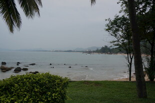 三亚海滨绿树环绕的宁静景致