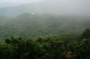 三亚云雾缭绕的翠绿山林