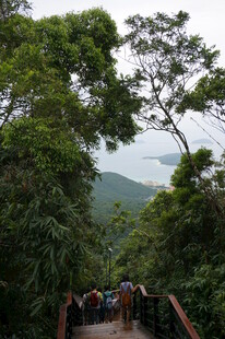 三亚山林间的木质栈道漫步