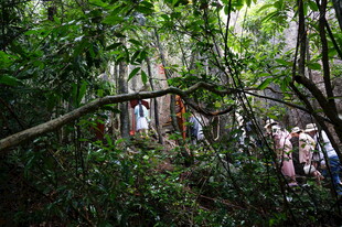 三亚丛林中的探险人群