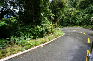 三亚蜿蜒山间公路 绿意盎然