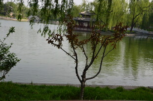 公园风景 