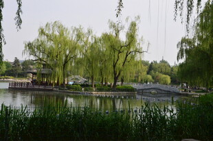 公园风景 
