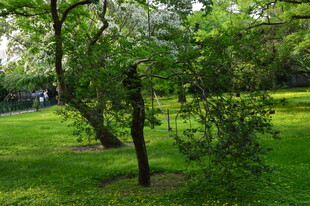 公园风景  